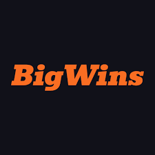 BigWins Online Casino: Gamer Scores & Our Verdict
